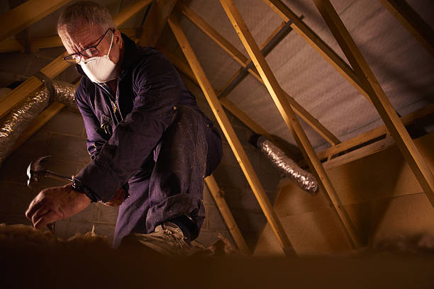 Trusted Wilmore, KY Insulation Contractor Experts